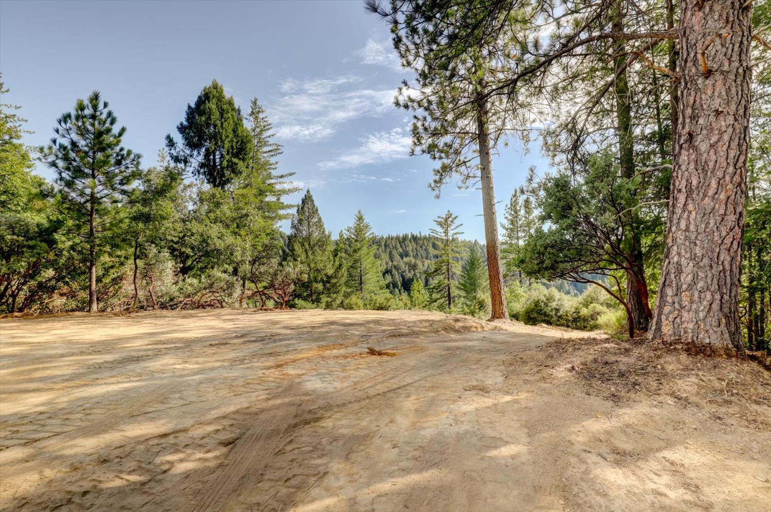 19455 Hogback Road Nevada City, CA 95959 - Photo 5 of 87 a view of a yard with a tree