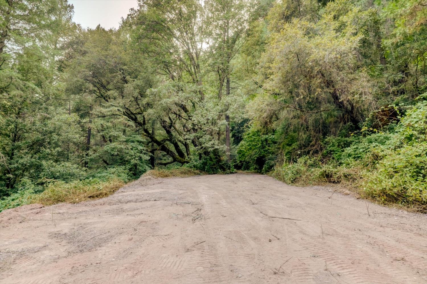19455 Hogback Road Nevada City, CA 95959 - Photo 51 of 87 a view of a dry yard with lots of bushes