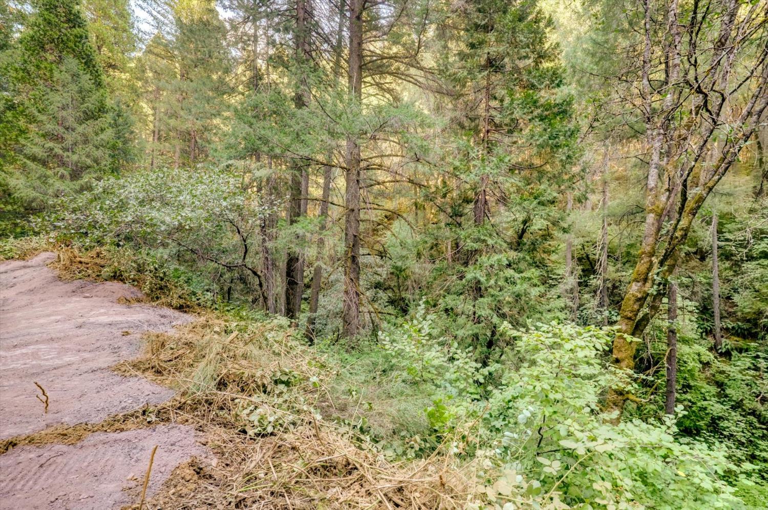 19455 Hogback Road Nevada City, CA 95959 - Photo 54 of 87