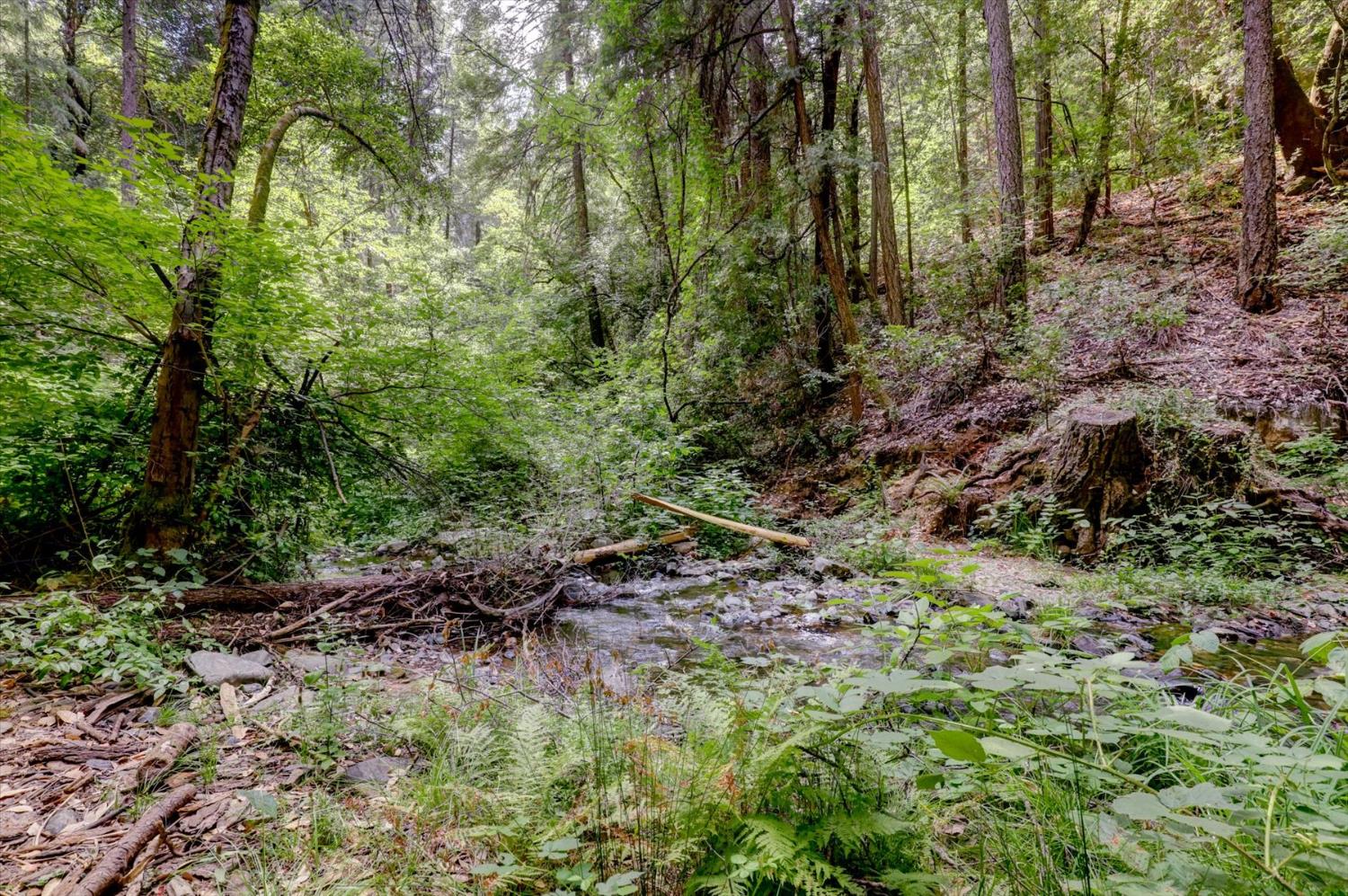 19455 Hogback Road Nevada City, CA 95959 - Photo 62 of 87 a view of a yard