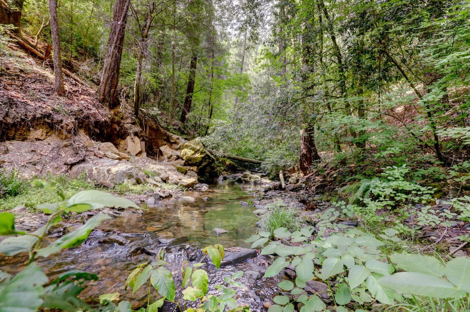 19455 Hogback Road Nevada City, CA 95959 - Photo 63 of 87 a backyard of a house with lots of green space