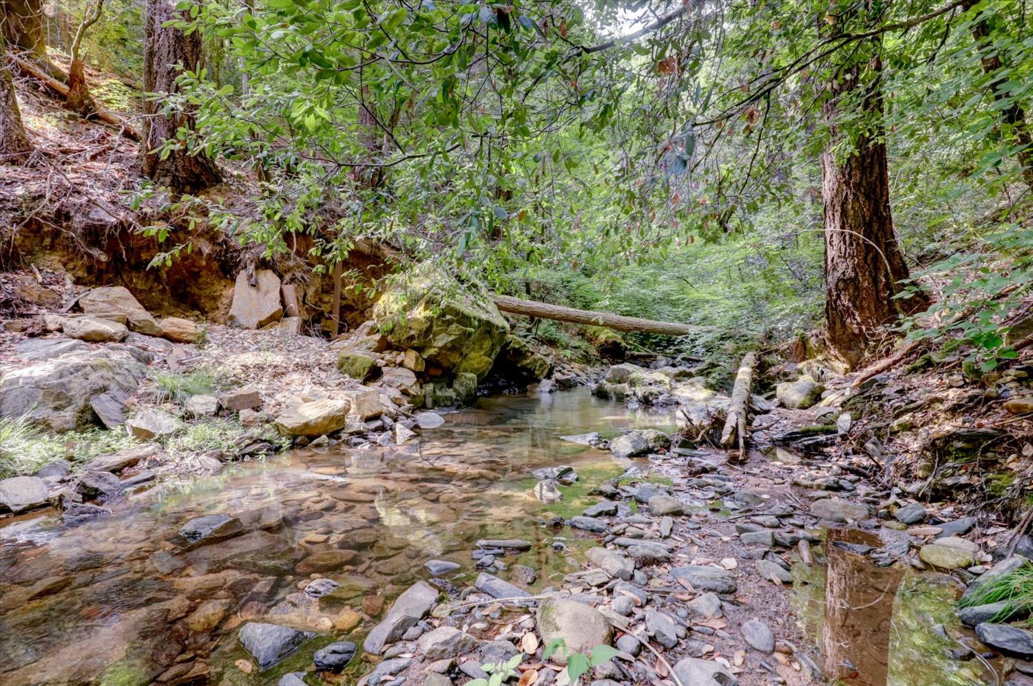 19455 Hogback Road Nevada City, CA 95959 - Photo 64 of 87 a view of a forest with a tree