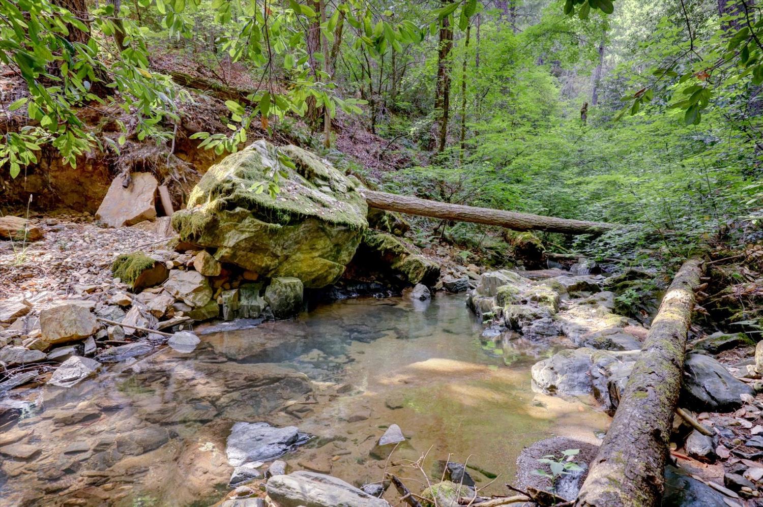 19455 Hogback Road Nevada City, CA 95959 - Photo 65 of 87