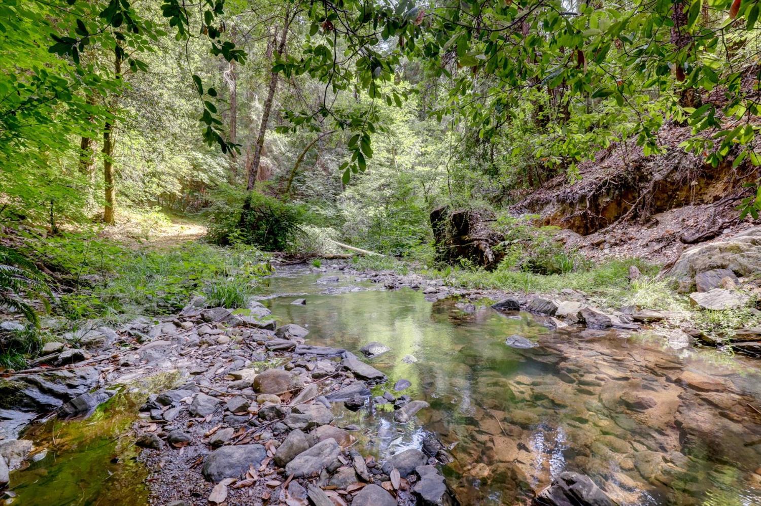 19455 Hogback Road Nevada City, CA 95959 - Photo 66 of 87