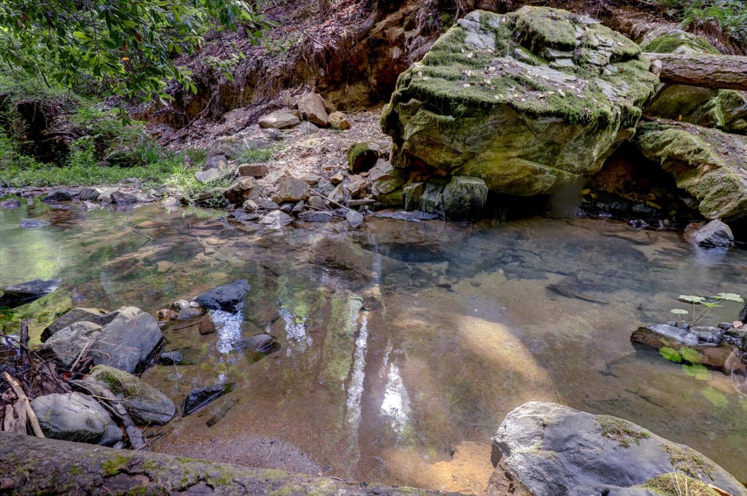 19455 Hogback Road Nevada City, CA 95959 - Photo 67 of 87