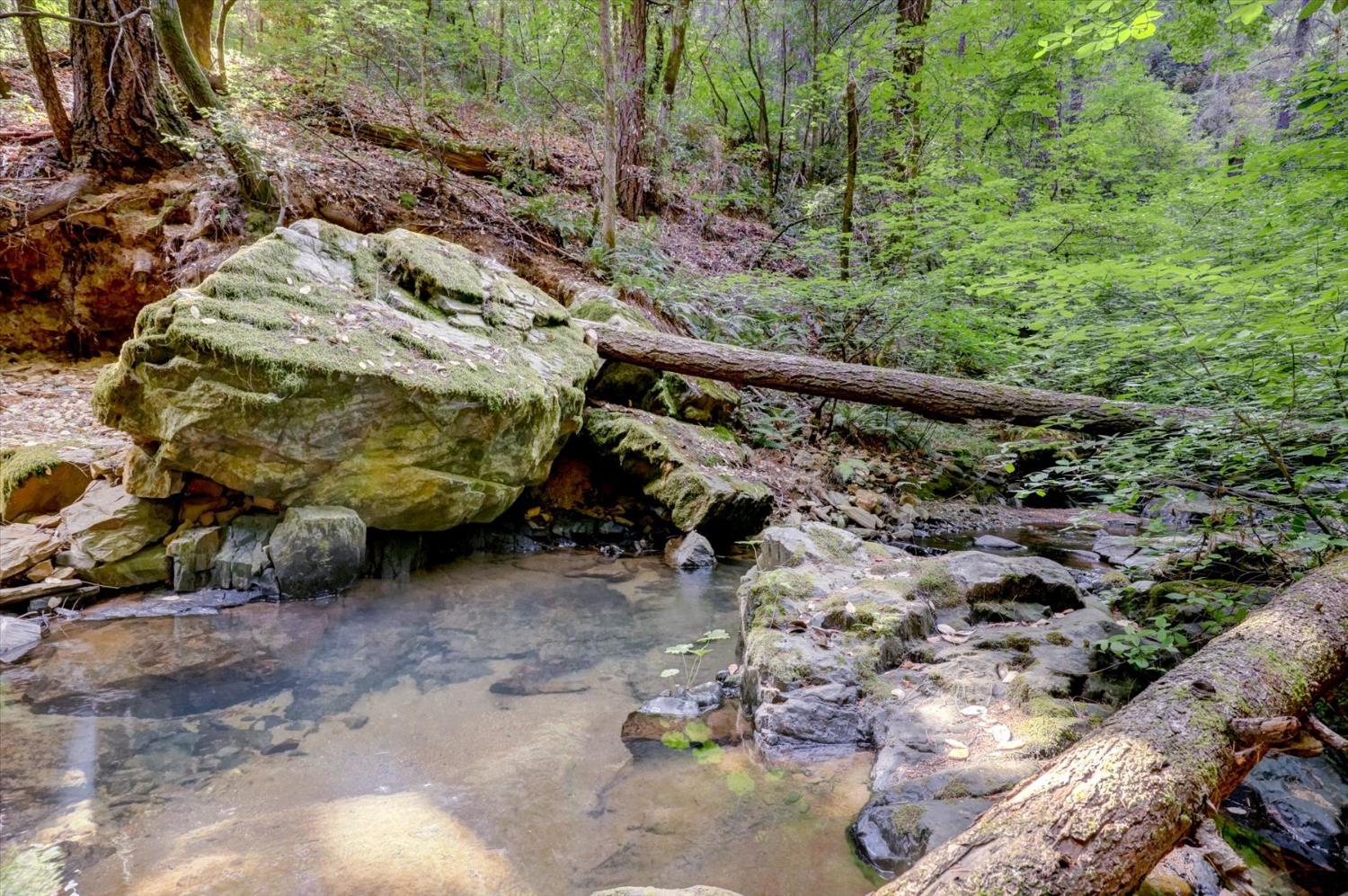 19455 Hogback Road Nevada City, CA 95959 - Photo 68 of 87 a view of a backyard with plants and outdoor seating