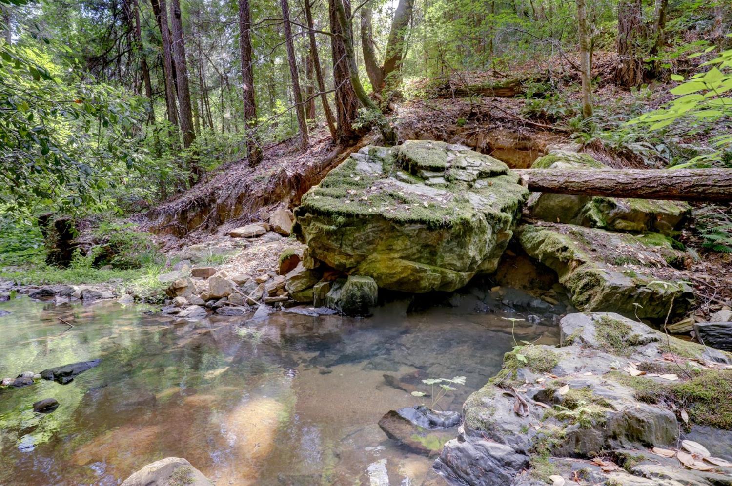 19455 Hogback Road Nevada City, CA 95959 - Photo 69 of 87 a view of a backyard with large trees