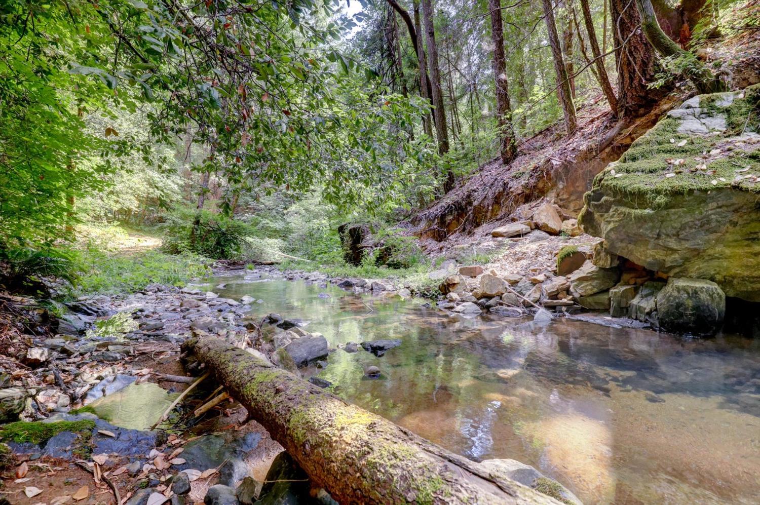 19455 Hogback Road Nevada City, CA 95959 - Photo 70 of 87