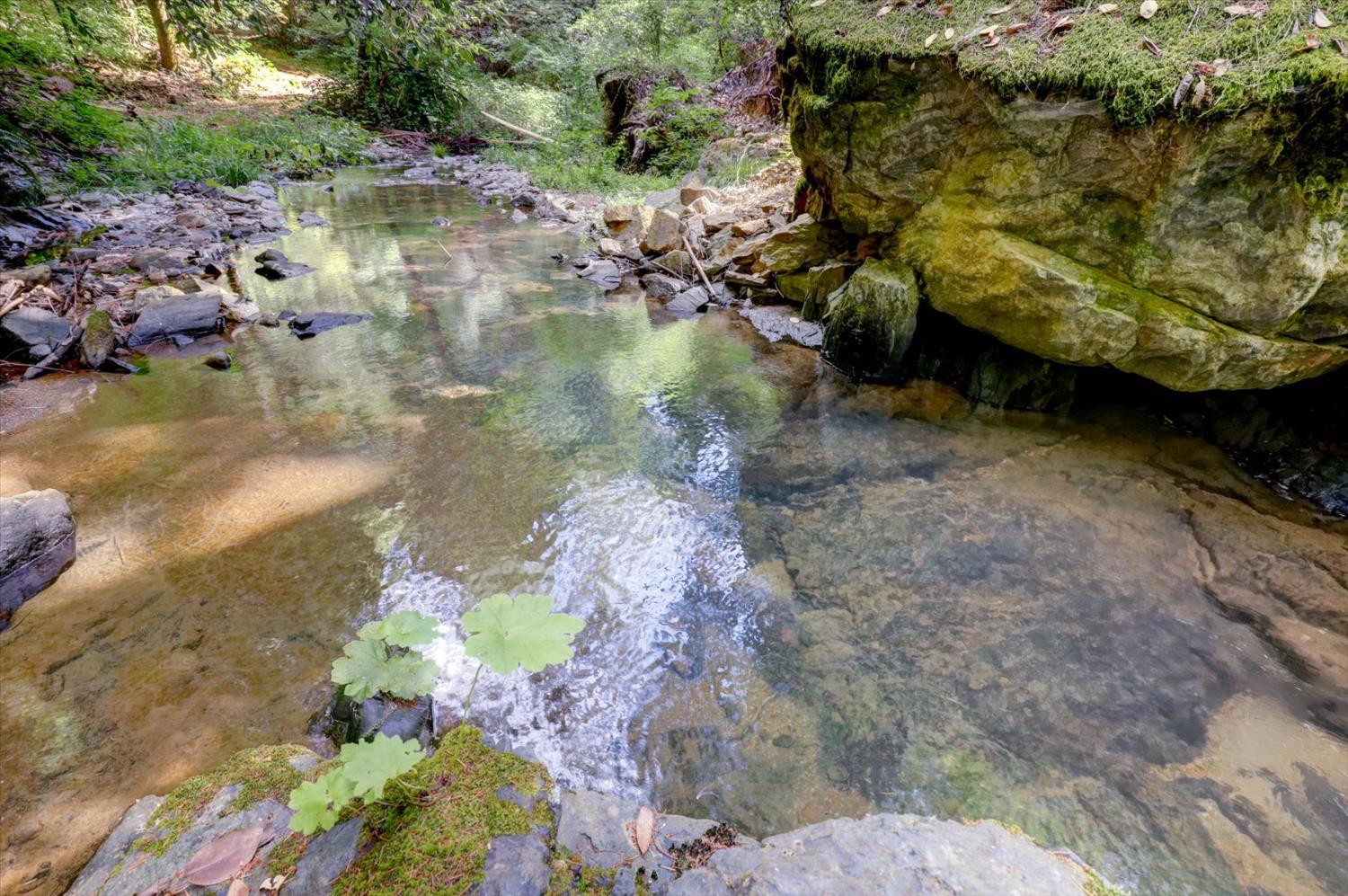 19455 Hogback Road Nevada City, CA 95959 - Photo 71 of 87