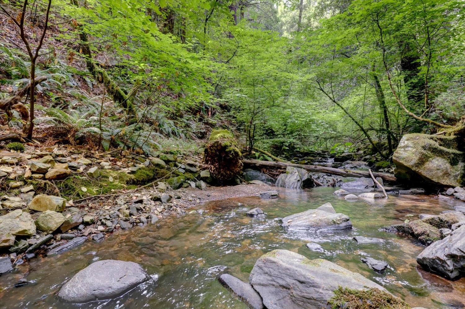 19455 Hogback Road Nevada City, CA 95959 - Photo 72 of 87