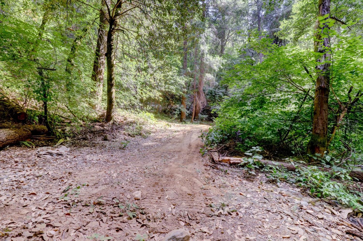 19455 Hogback Road Nevada City, CA 95959 - Photo 73 of 87