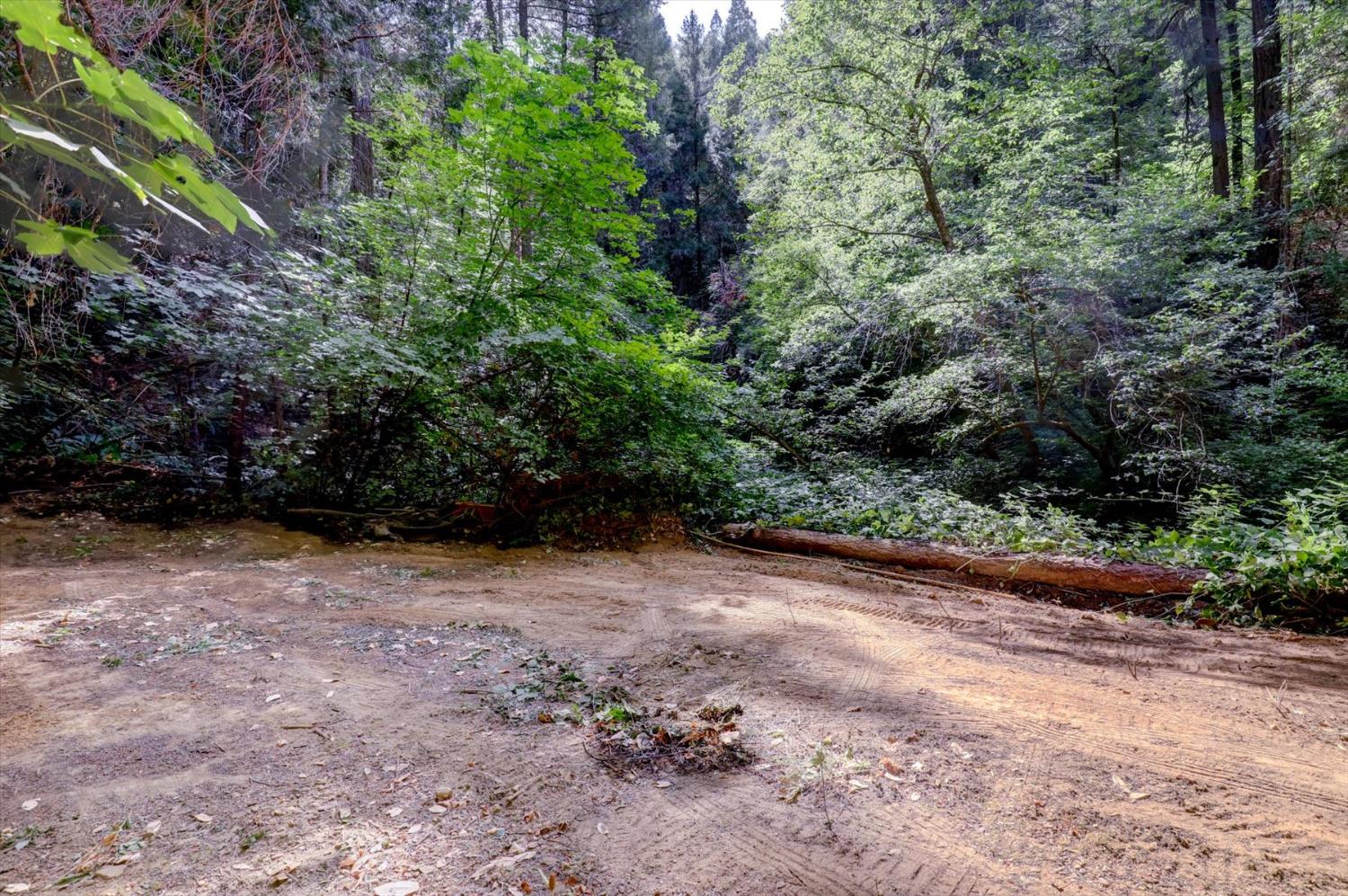 19455 Hogback Road Nevada City, CA 95959 - Photo 75 of 87 a view of a yard with plants and trees