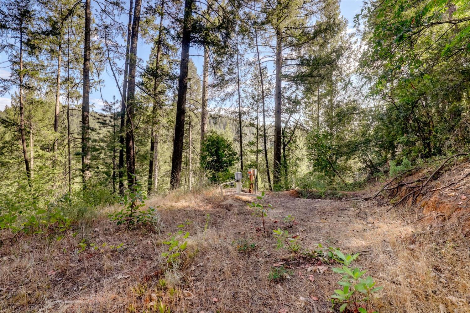 19455 Hogback Road Nevada City, CA 95959 - Photo 78 of 87