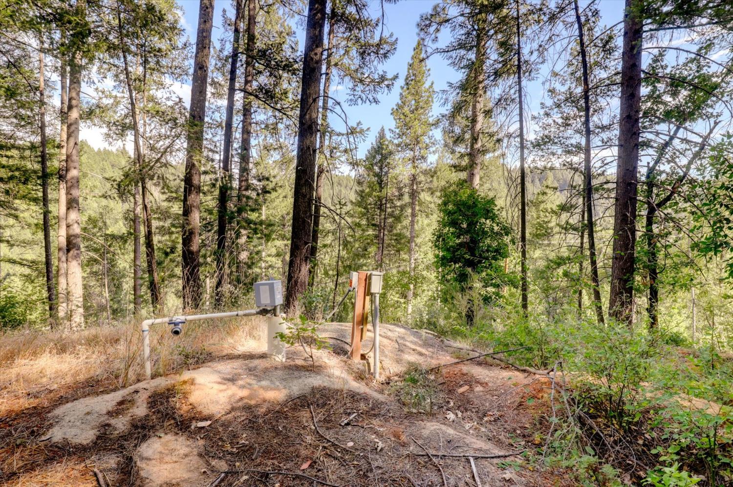 19455 Hogback Road Nevada City, CA 95959 - Photo 8 of 87 a backyard of a house with lots of green space