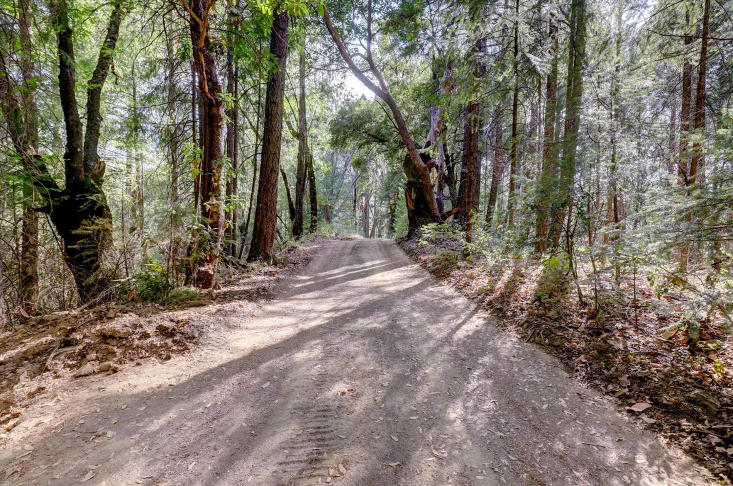 19455 Hogback Road Nevada City, CA 95959 - Photo 83 of 87