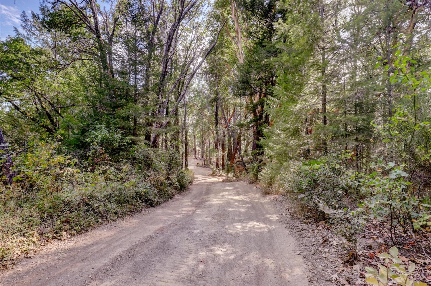 19455 Hogback Road Nevada City, CA 95959 - Photo 84 of 87