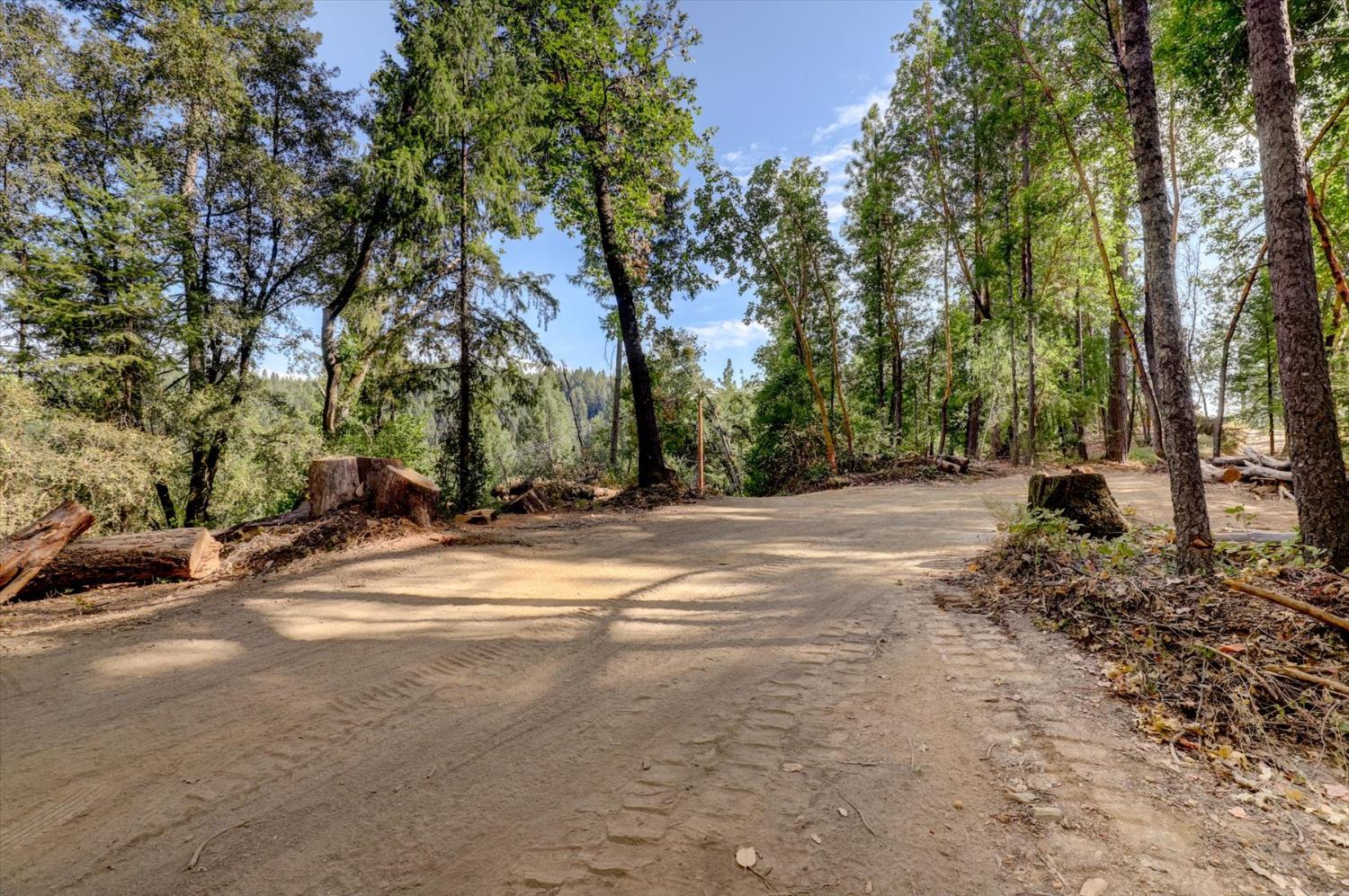 19455 Hogback Road Nevada City, CA 95959 - Photo 85 of 87 a view of road with trees