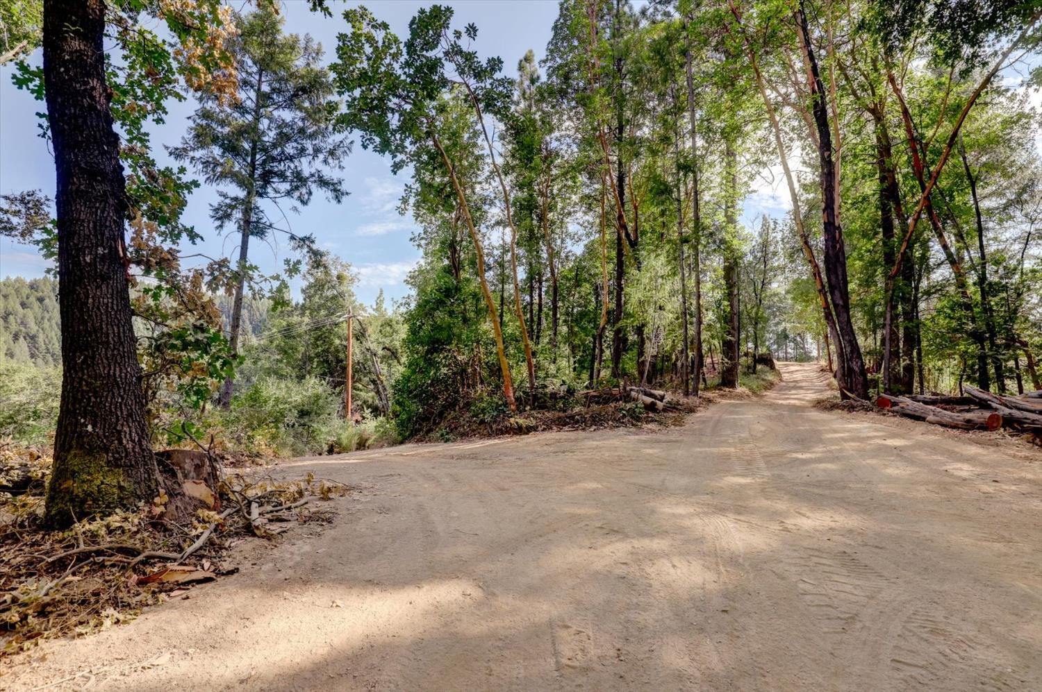 19455 Hogback Road Nevada City, CA 95959 - Photo 86 of 87