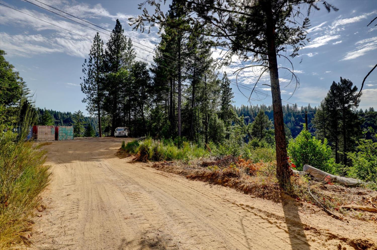 19455 Hogback Road Nevada City, CA 95959 - Photo 87 of 87 a view of a yard with plants and trees