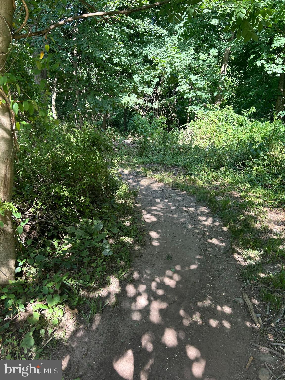 205 Taylorsville Road Yardley, PA 19067 - Photo 43 of 47 Bonus: Nearby path leading to the Towpath