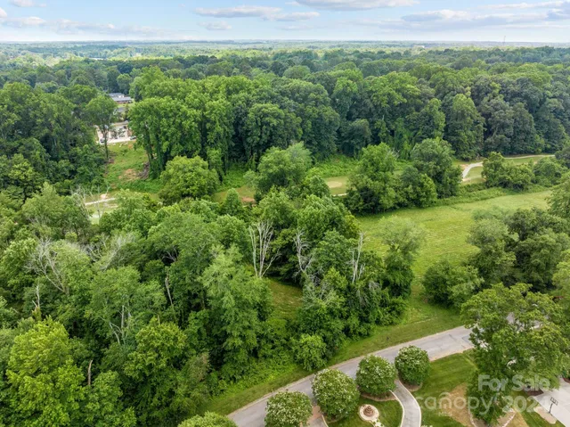 a view of a lush green forest with trees and some houses