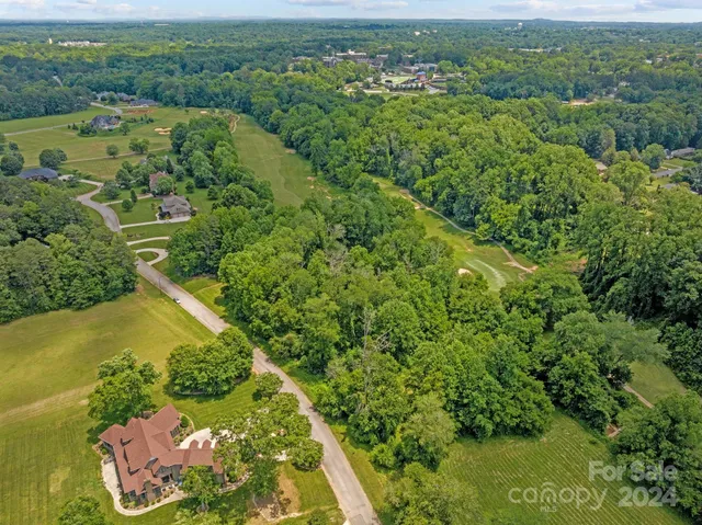 an aerial view of residential houses with outdoor space and trees