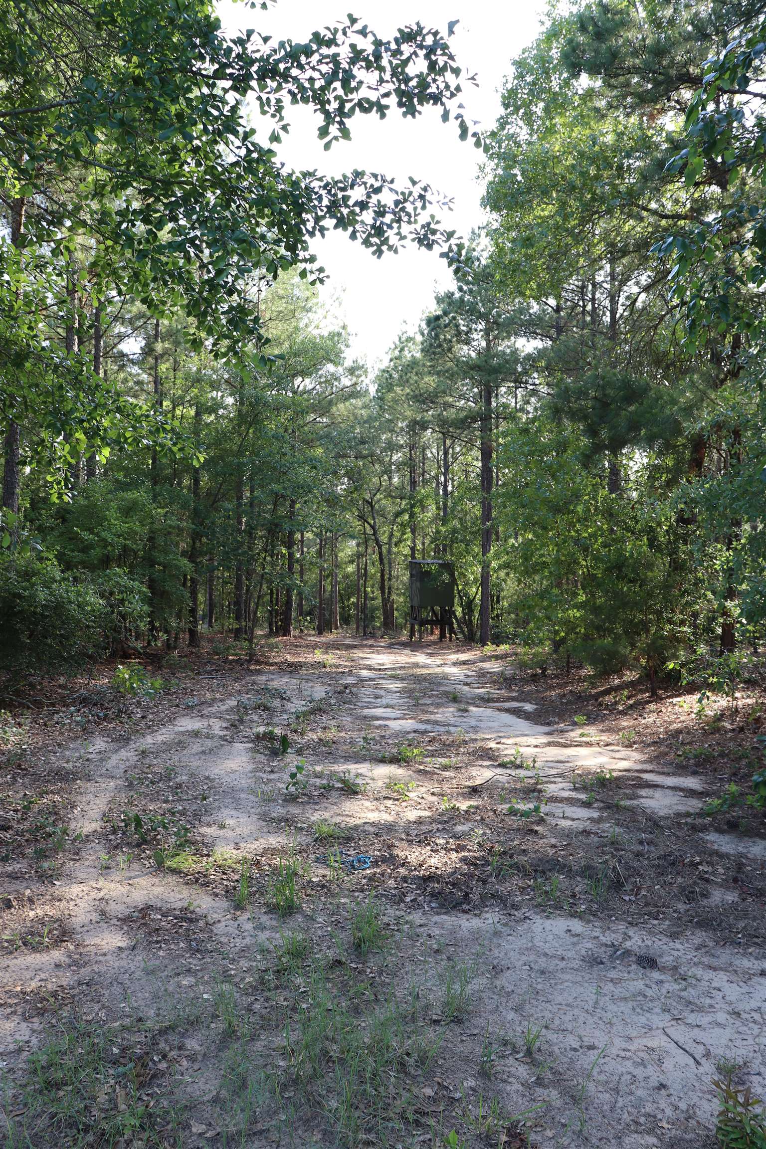 2631 Charlie Johnson Road Bethune, SC 29009 - Photo 20 of 29