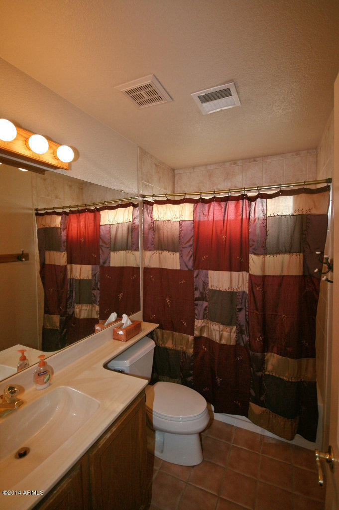 3602 East Long Lake Road Phoenix, AZ 85048 - Photo 17 of 19 HALL BATH
