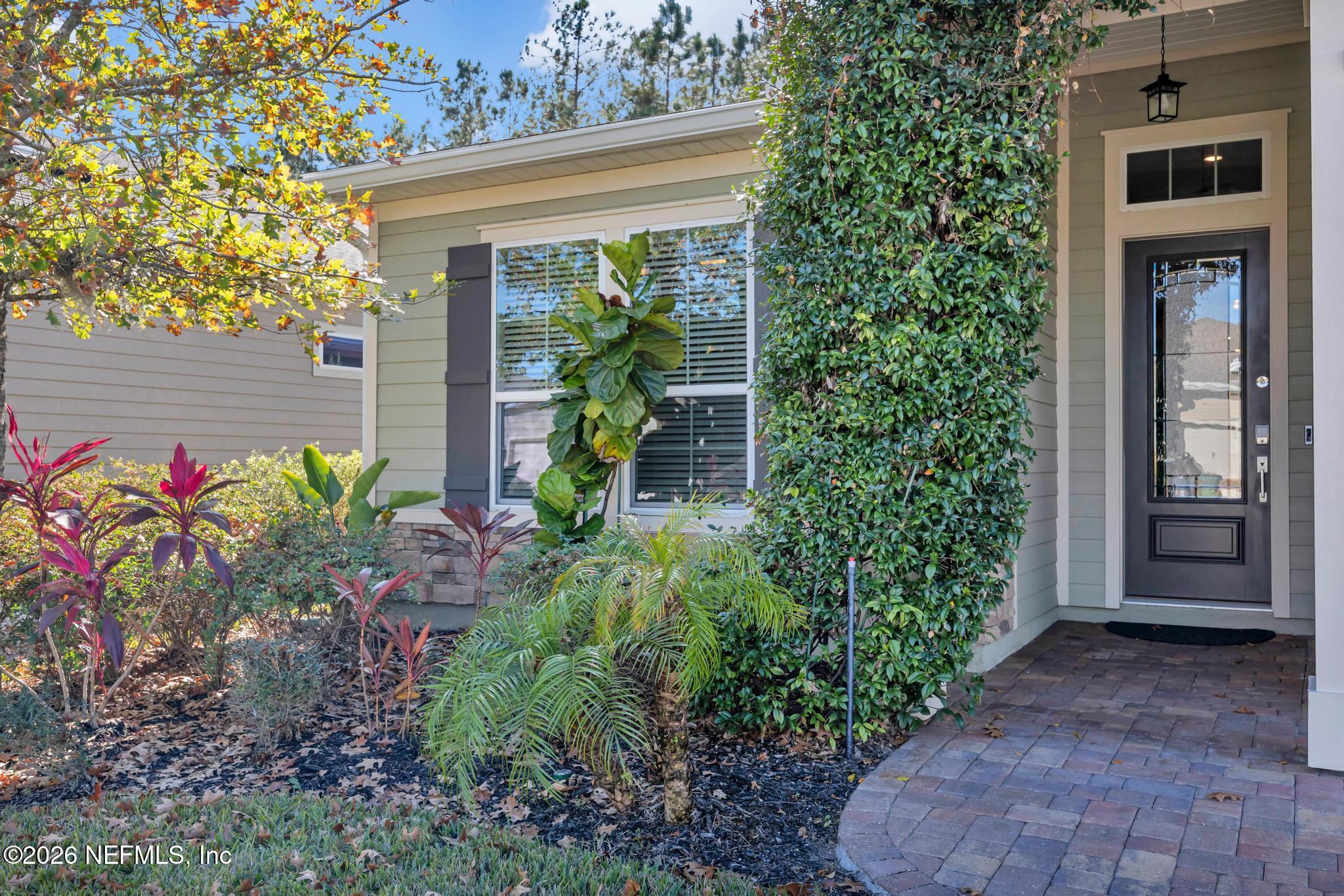 196 Silver Reef Lane St. Augustine, FL 32095 - Photo 5 of 62 a view of a potted plant in front of a house
