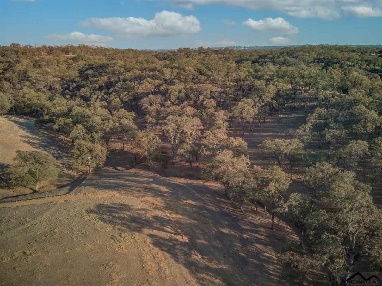 13325 Rd Runner Loop Red Bluff, CA 96080 - Photo 8 of 47
