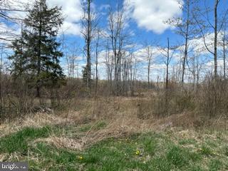 Cherry Ridge Rd Mount Mount Storm, WV 26739 - Photo 2 of 8