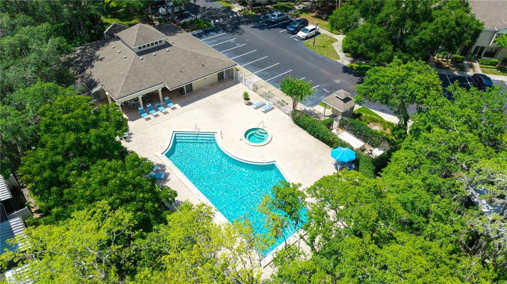 5100 Burchette Road, Unit 404 Tampa, FL 33647 - Photo 27 of 41