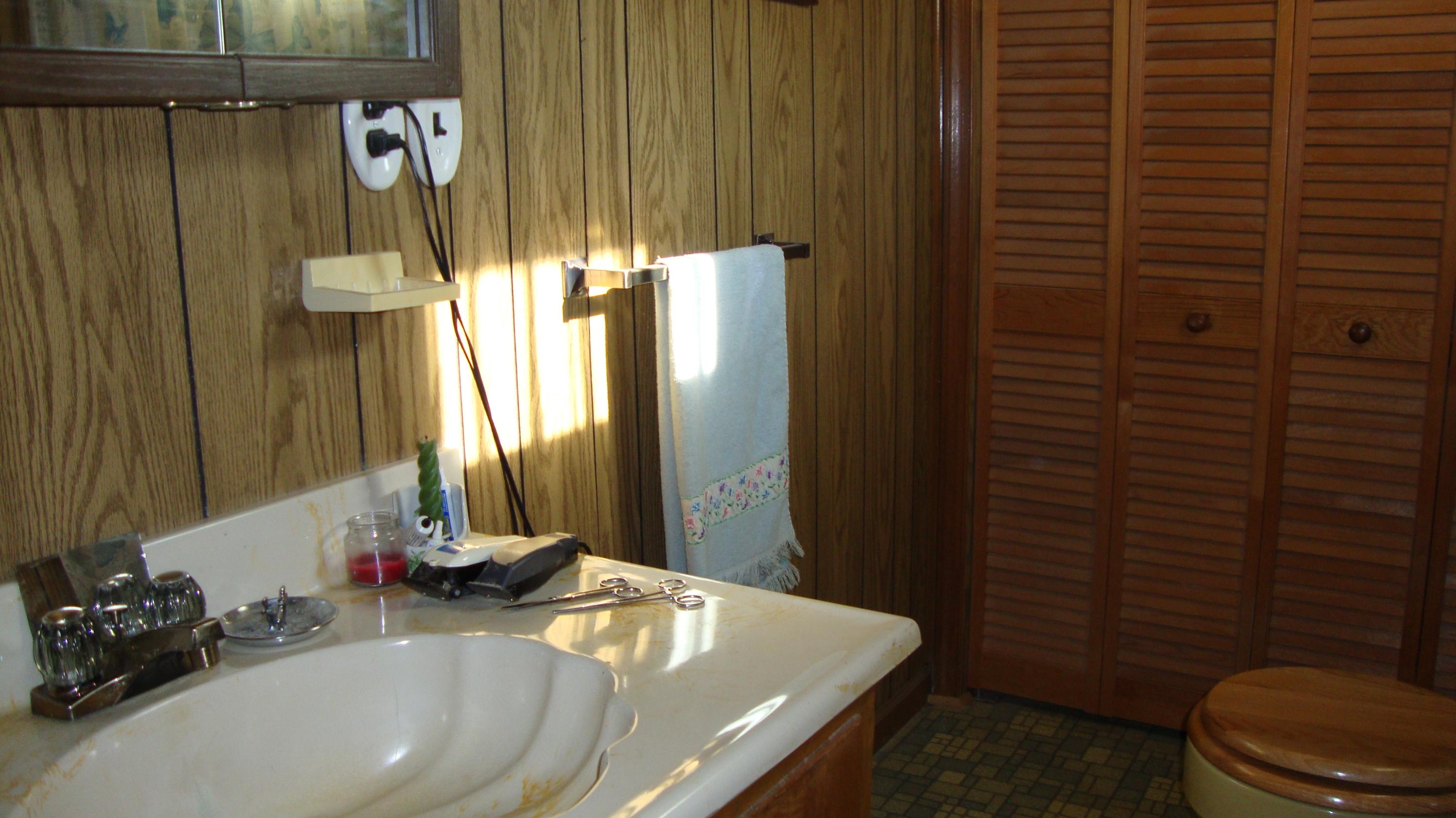 11104 Dickerson Mill Road Moneta, VA 24121 - Photo 14 of 47 Half Bathroom in The Master Bedroom