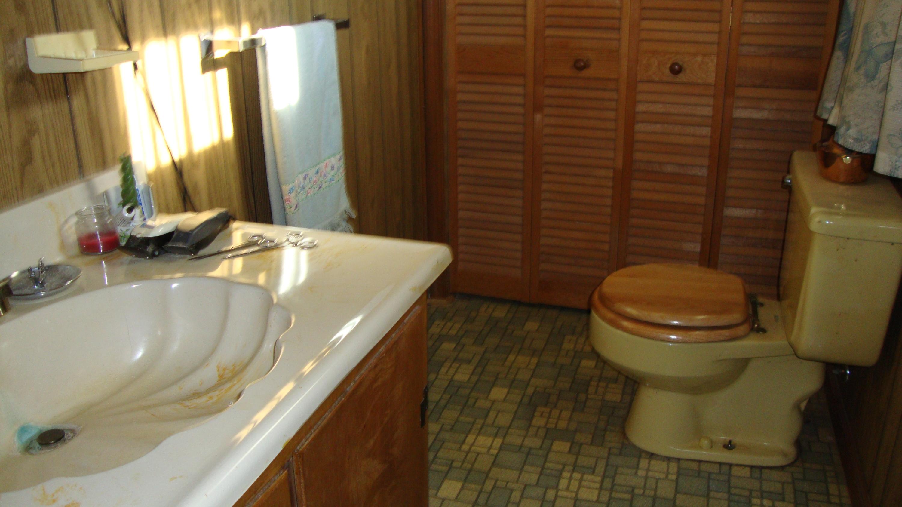 11104 Dickerson Mill Road Moneta, VA 24121 - Photo 15 of 47 One Half Bathroom In The Master Bedroom