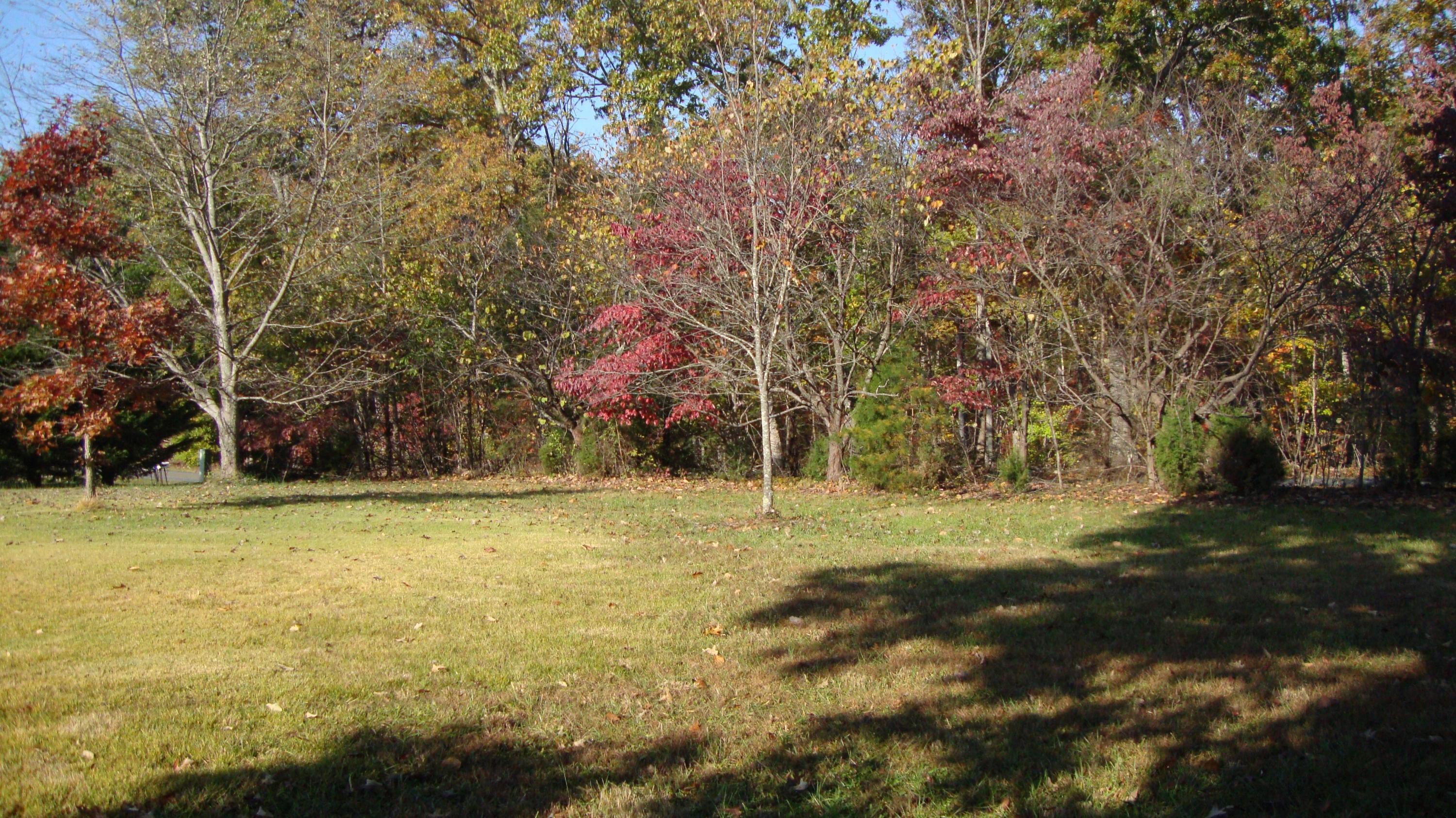 11104 Dickerson Mill Road Moneta, VA 24121 - Photo 25 of 47 A View of The Front Yard