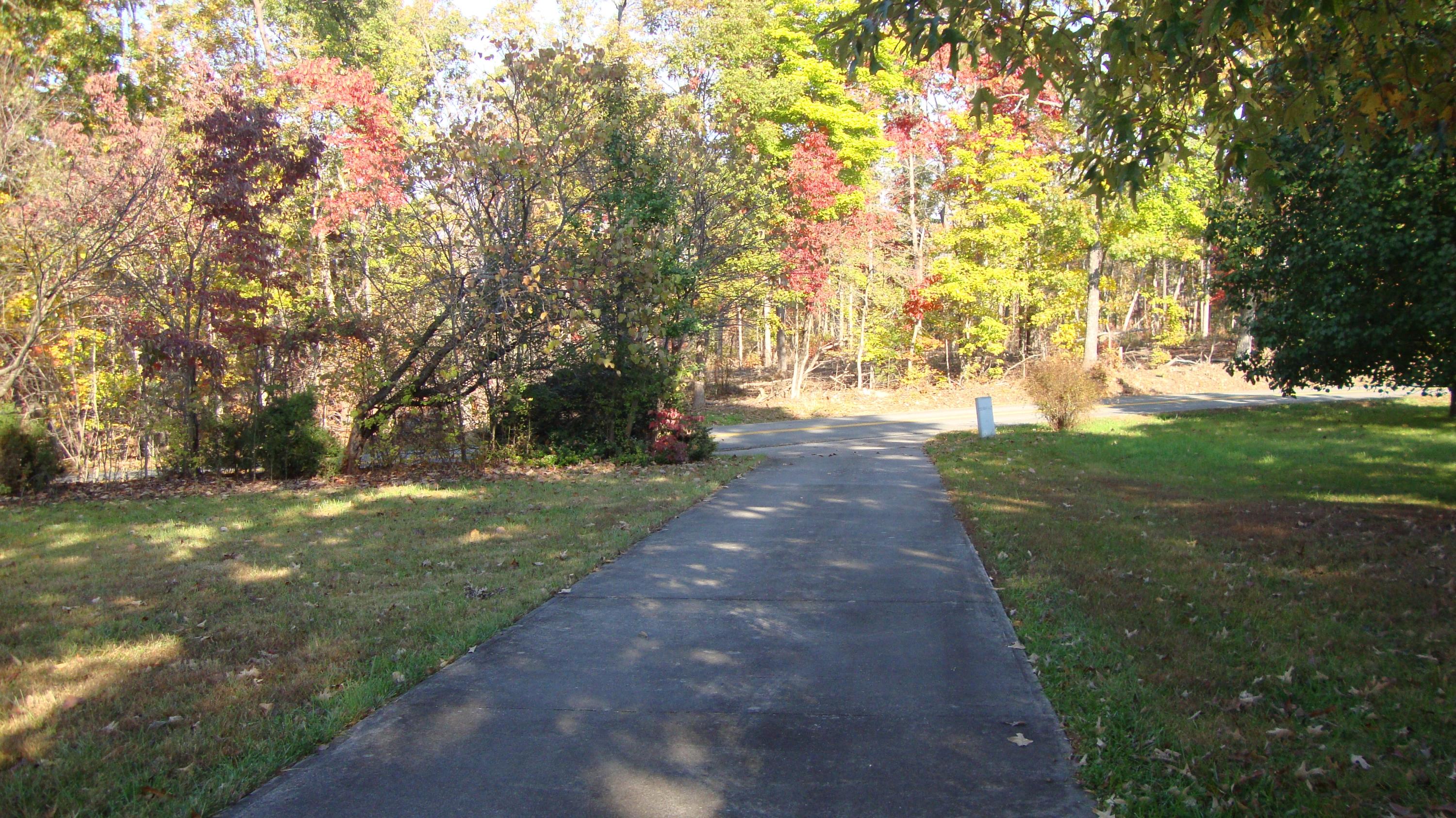 11104 Dickerson Mill Road Moneta, VA 24121 - Photo 26 of 47 Paved Concrete Driveway