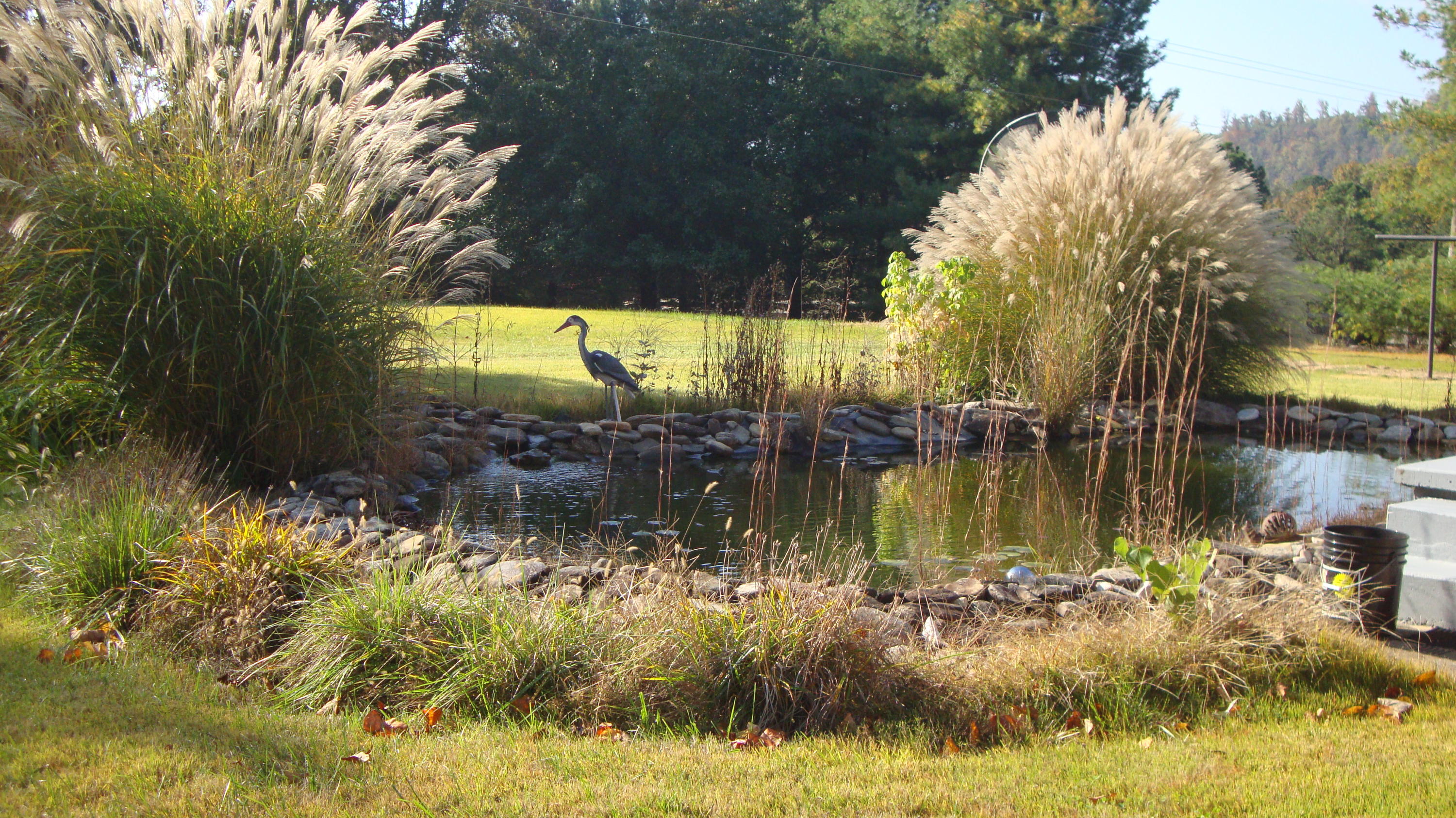 11104 Dickerson Mill Road Moneta, VA 24121 - Photo 30 of 47 DSC03858
