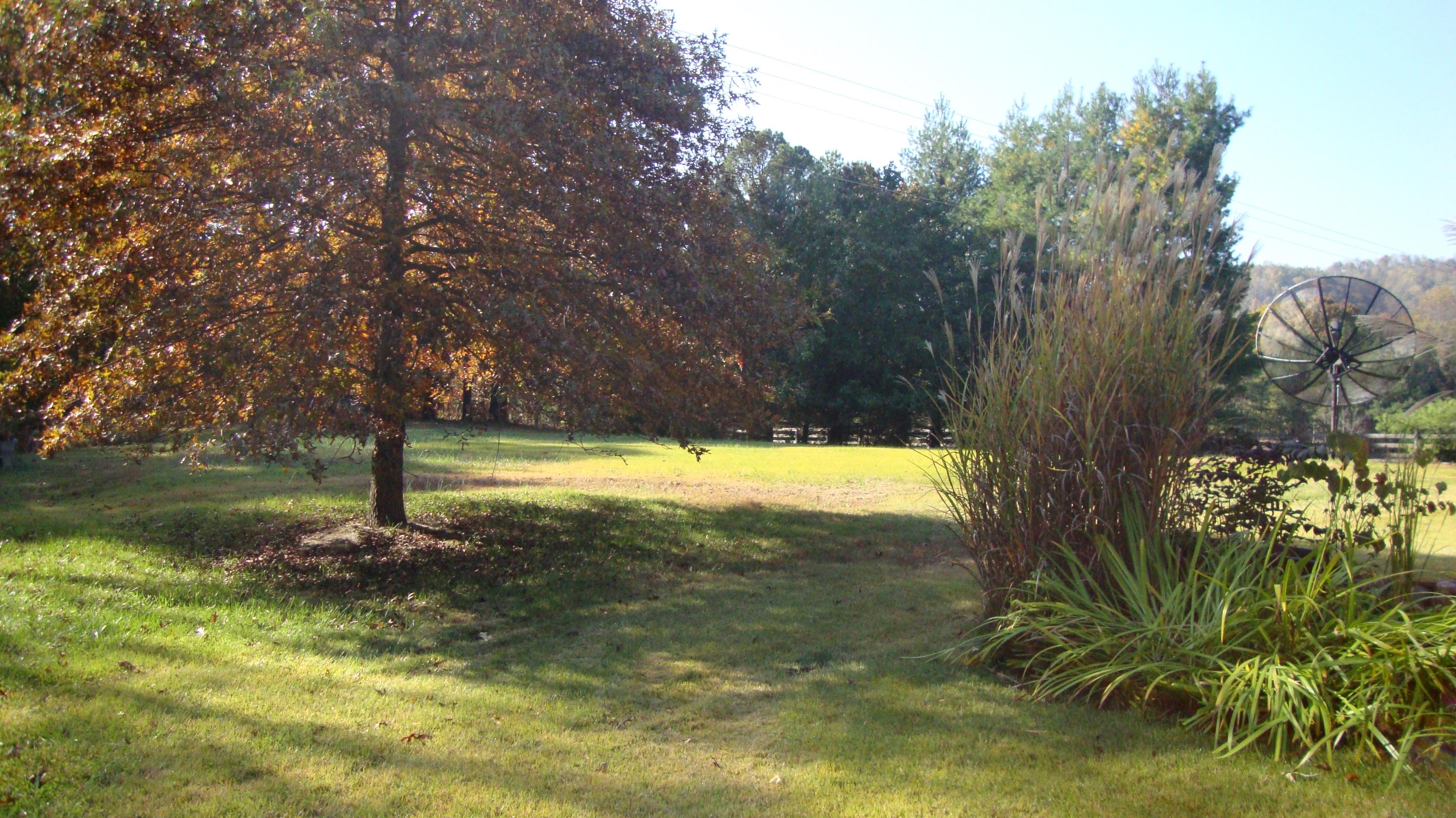 11104 Dickerson Mill Road Moneta, VA 24121 - Photo 33 of 47 DSC03861