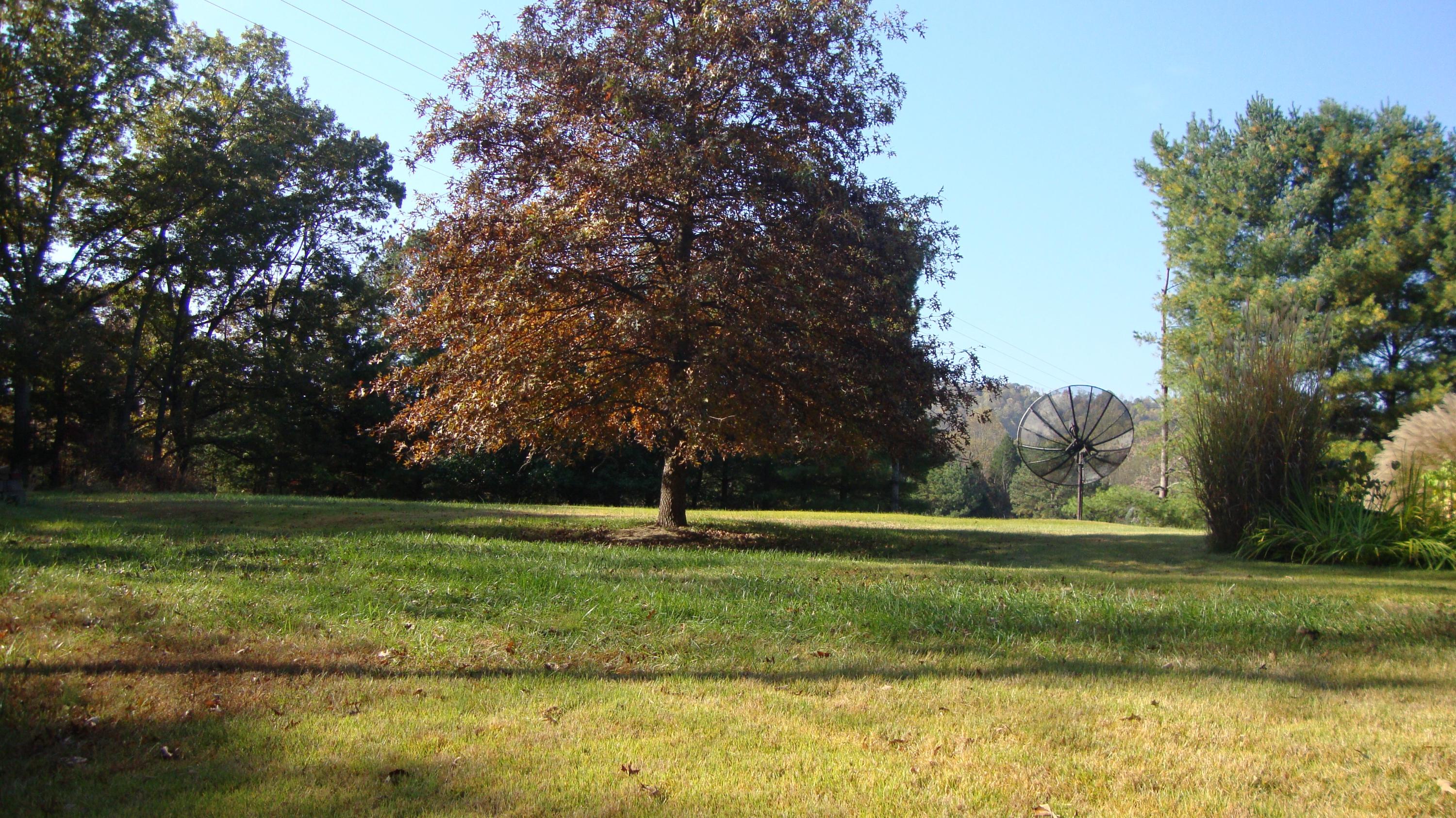 11104 Dickerson Mill Road Moneta, VA 24121 - Photo 35 of 47 DSC03863