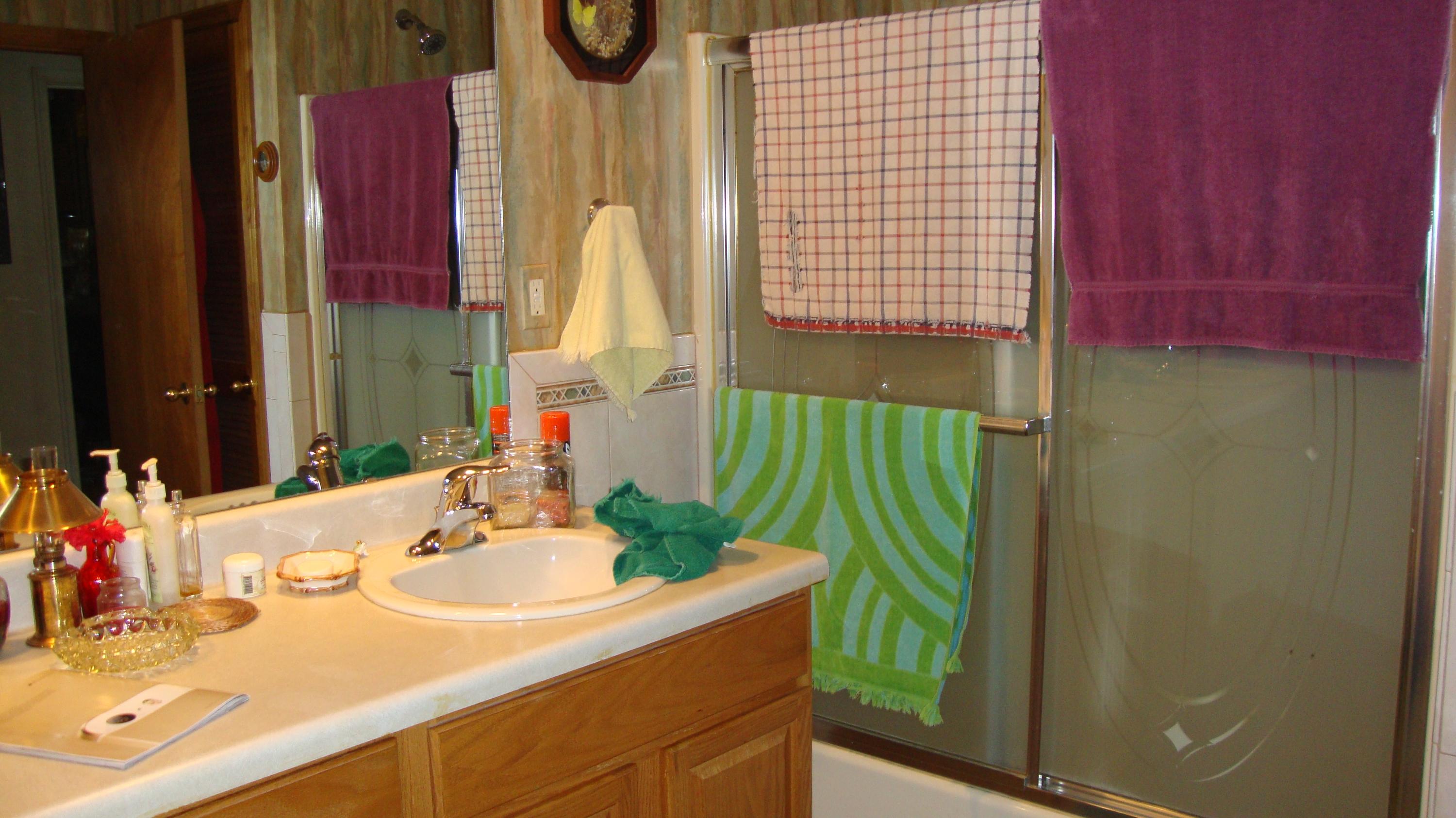 11104 Dickerson Mill Road Moneta, VA 24121 - Photo 8 of 47 Another View of The Full Bathroom