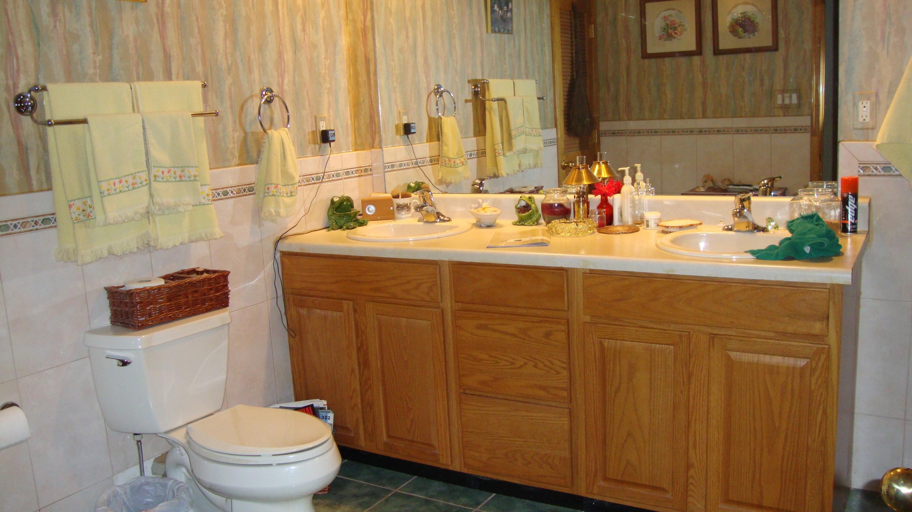 11104 Dickerson Mill Road Moneta, VA 24121 - Photo 9 of 47 Another View Of The Full Bathroom