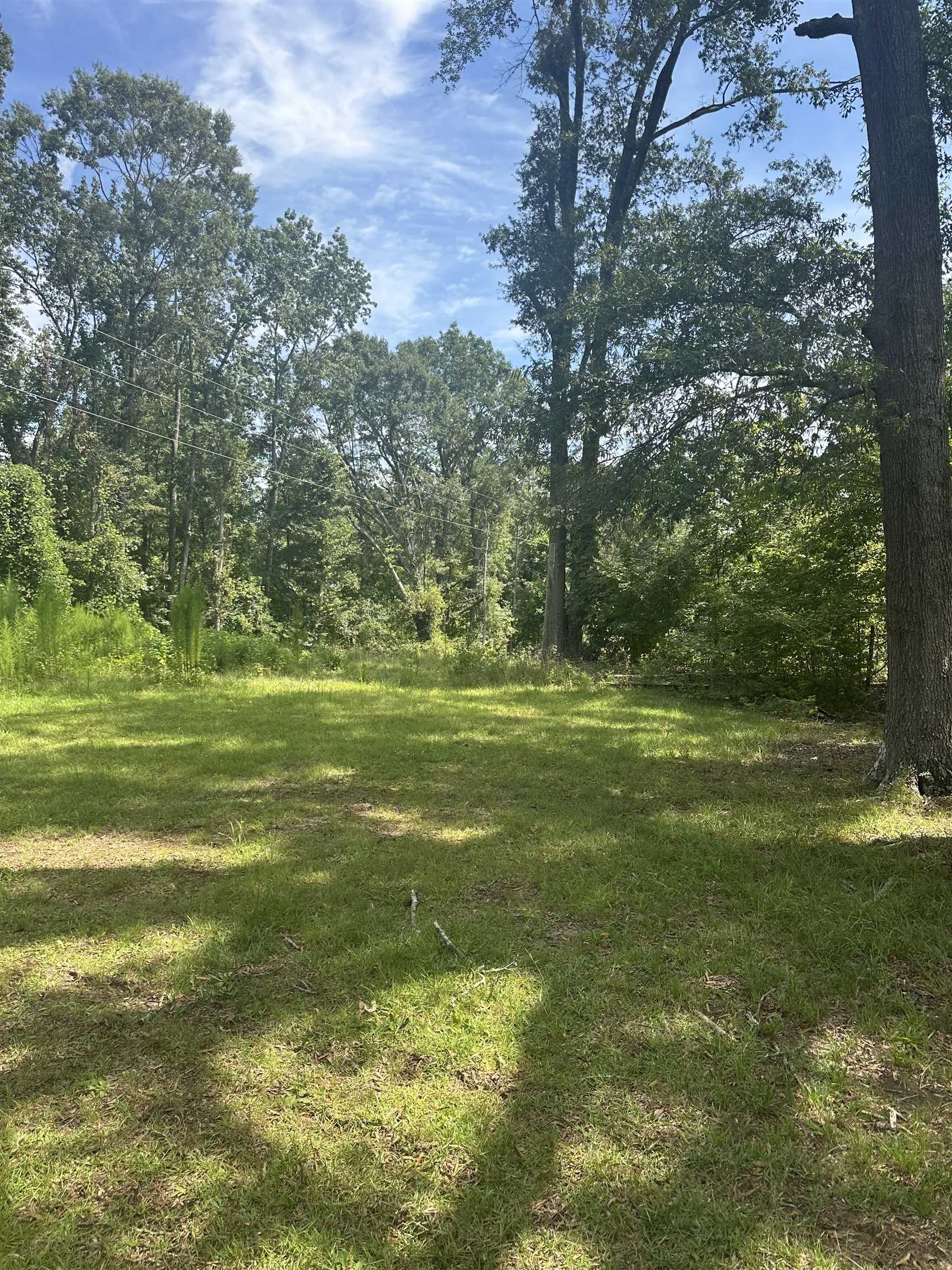 403 Scott Street Union, SC 29379 - Photo 10 of 11