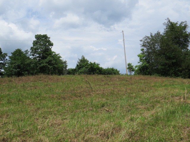 200 Hardy Road Pulaski, TN 38478 - Photo 16 of 20