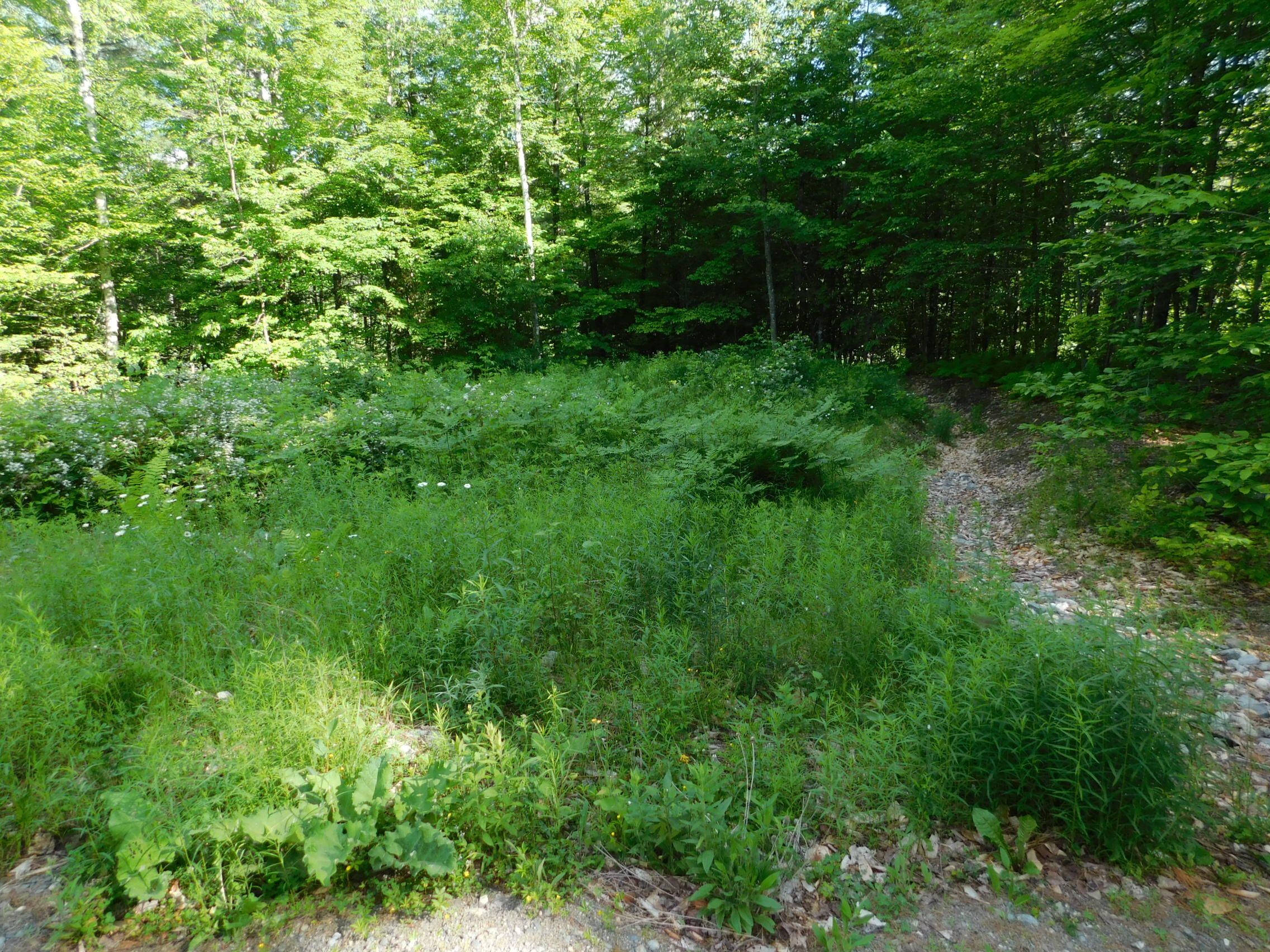 740 Hole In The Wall Road Solon, ME 04979 - Photo 19 of 19
