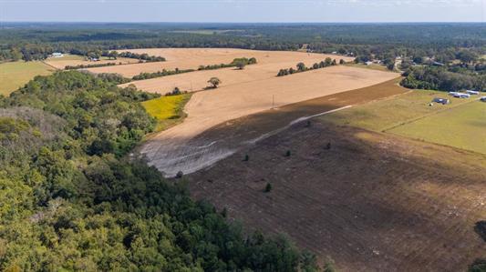 C1 Mcphail Farm Road Florala, AL 36442 - Photo 15 of 17 a view of a beach with a ocean view
