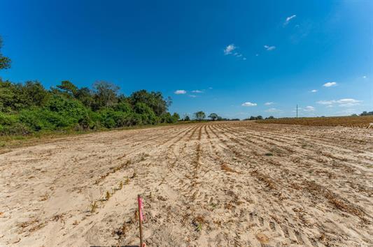 C1 Mcphail Farm Road Florala, AL 36442 - Photo 7 of 17