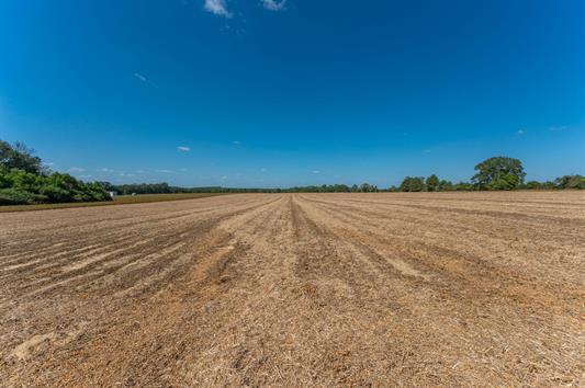 C1 Mcphail Farm Road Florala, AL 36442 - Photo 9 of 17 a view of yard with lake and mountain view in back