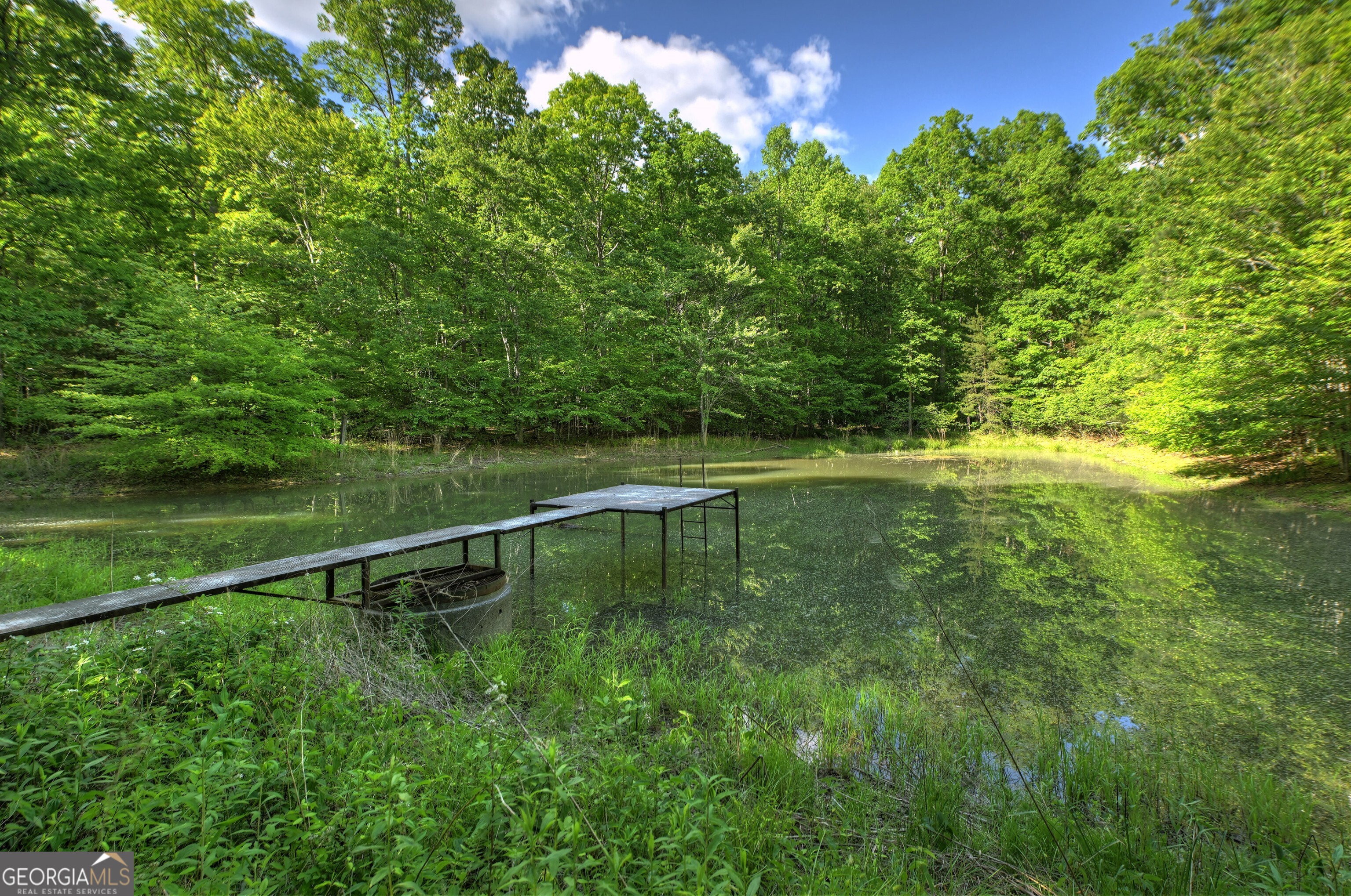 8-ac Mcnelley Road Morganton, GA 30560 - Photo 3 of 47