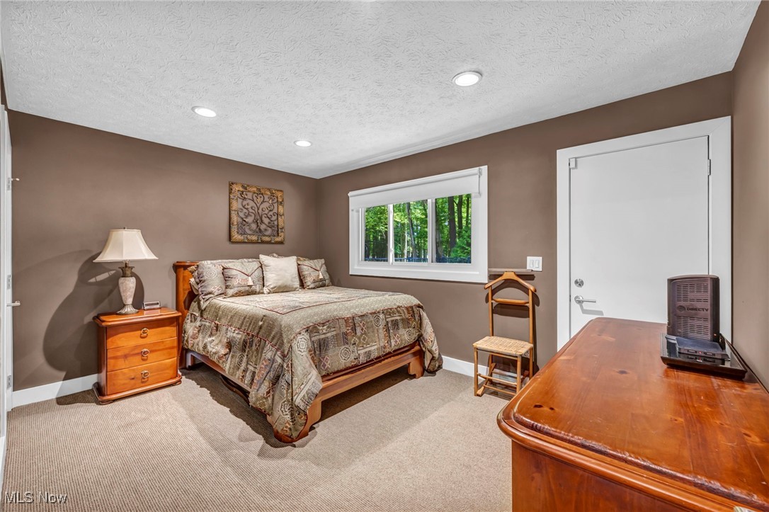 13079 Falling Water Road Strongsville, OH 44136 - Photo 38 of 50 Bedroom with carpet and recessed lighting