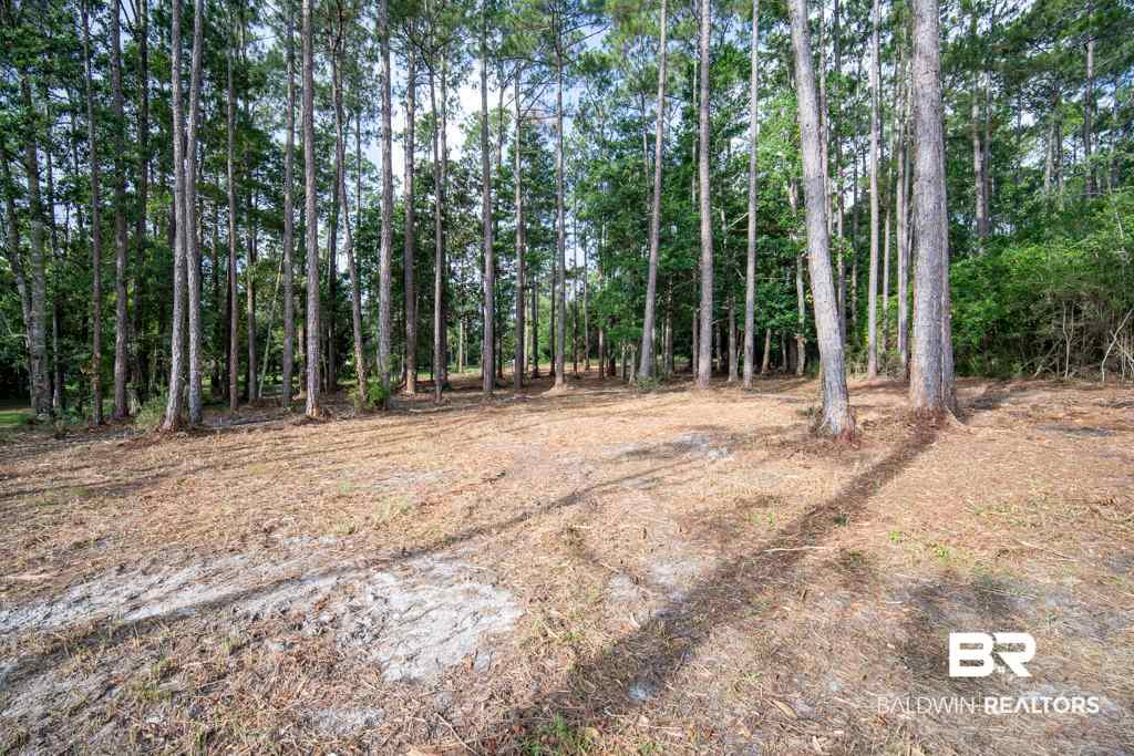 4 South Bayou Drive Elberta, AL 36530 - Photo 14 of 23